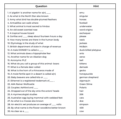 Hint Hunt puzzle generator — Word Puzzle Makers